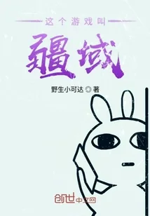 《这个游戏叫疆域》小说封面