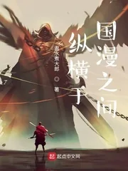 《纵横于国漫之间》小说封面