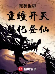 《完美世界:重瞳开天,羽化登仙》小说封面