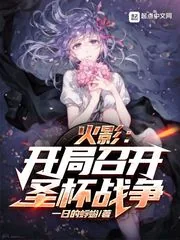 《火影:开局召开圣杯战争》小说封面