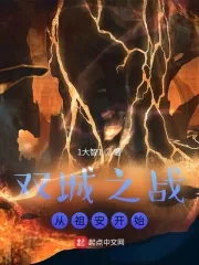 《双城之战：从祖安开始》小说封面