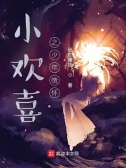 《小欢喜之少年情怀》小说封面