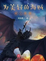 《为美好的海贼献上惠惠》小说封面