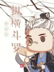 《慕容复纵横斗罗》小说封面