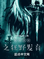 《英雄无敌之狂野发育》小说封面