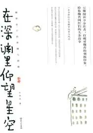 《在深渊里仰望星空：魏晋名士的卑微与骄傲》小说封面