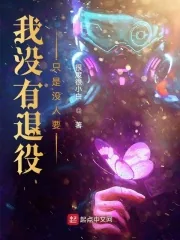 《我没有退役，只是没人要》小说封面