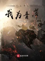 《大主宰之我为青萍》小说封面