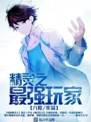 《精灵之最强玩家》小说封面