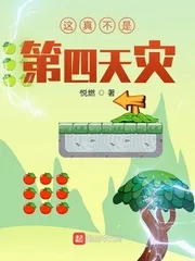 《这真不是第四天灾》小说封面