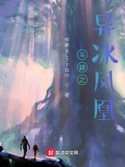 《斗破之异冰凤凰》小说封面