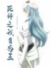 《死神之我自为王》小说封面
