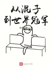《从混子到世界冠军》小说封面