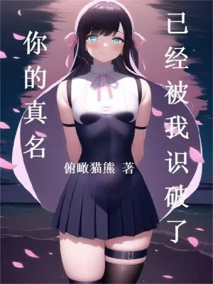 《你的真名已经被我识破了》小说封面
