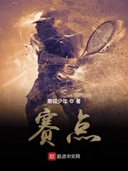 《赛点》小说封面
