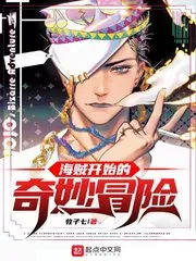 《海贼开始的奇妙冒险》小说封面