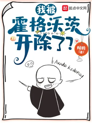 《我被霍格沃茨开除了？》小说封面