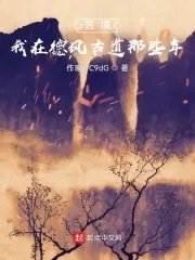 《苦境：我在德风古道那些年》小说封面