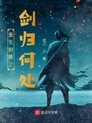 《重生射雕之剑归何处》小说封面