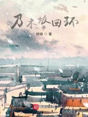 《乃木坂回环》小说封面