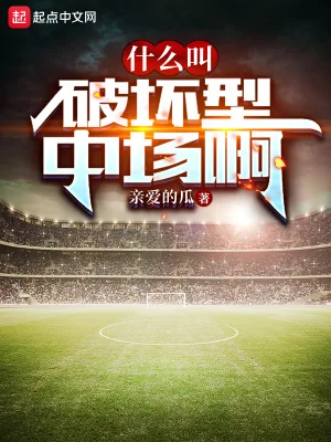《什么叫破坏型中场啊》小说封面