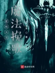 《霍格沃茨：魔法挽歌》小说封面
