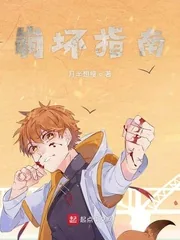 《崩坏指南》小说封面