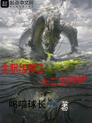 《全职法师之十二卫守护》小说封面