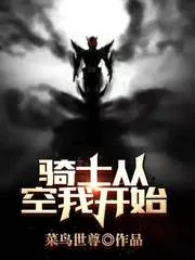 《骑士从空我开始》小说封面