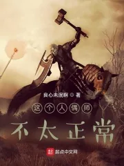 《这个人偶师不太正常》小说封面