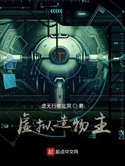 《虚拟造物主》小说封面