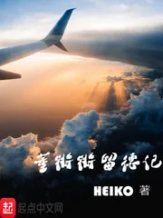 《董锵锵留德记》小说封面