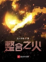 《明日方舟之整合之火》小说封面