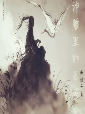 《神雕里的东丈》小说封面
