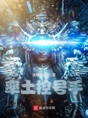 《率土控号手》小说封面