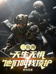 《三角洲：天生无惧，他们叫我顶护》小说封面