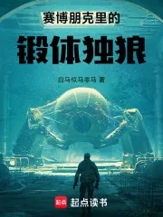 《赛博朋克里的锻体独狼》小说封面