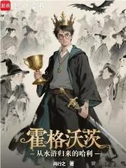 《霍格沃茨：从水浒归来的哈利》小说封面
