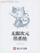 《无限次元塔系统》小说封面