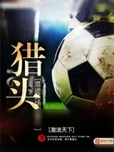 《混迹球场的猎头》小说封面
