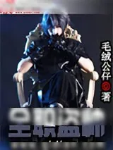 《全职盗帅》小说封面