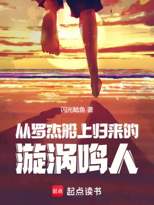 《火影：从罗杰船上归来的漩涡鸣人》小说封面