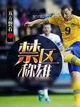《禁区称雄》小说封面