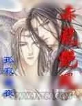 《赤龙艳凤》小说封面