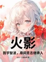 《火影：我宇智波，扉间意志继承人》小说封面