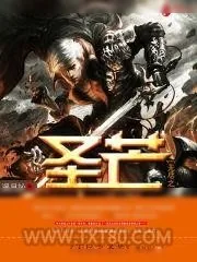 《无尽之圣芒》小说封面