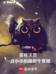 《霍格沃茨：一点小小的插班生震撼》小说封面