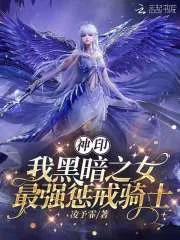 《神印：我黑暗之女，最强惩戒骑士》小说封面