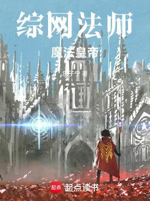 《综网法师，魔法皇帝》小说封面