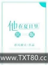 《他在夏日里沉眠》小说封面